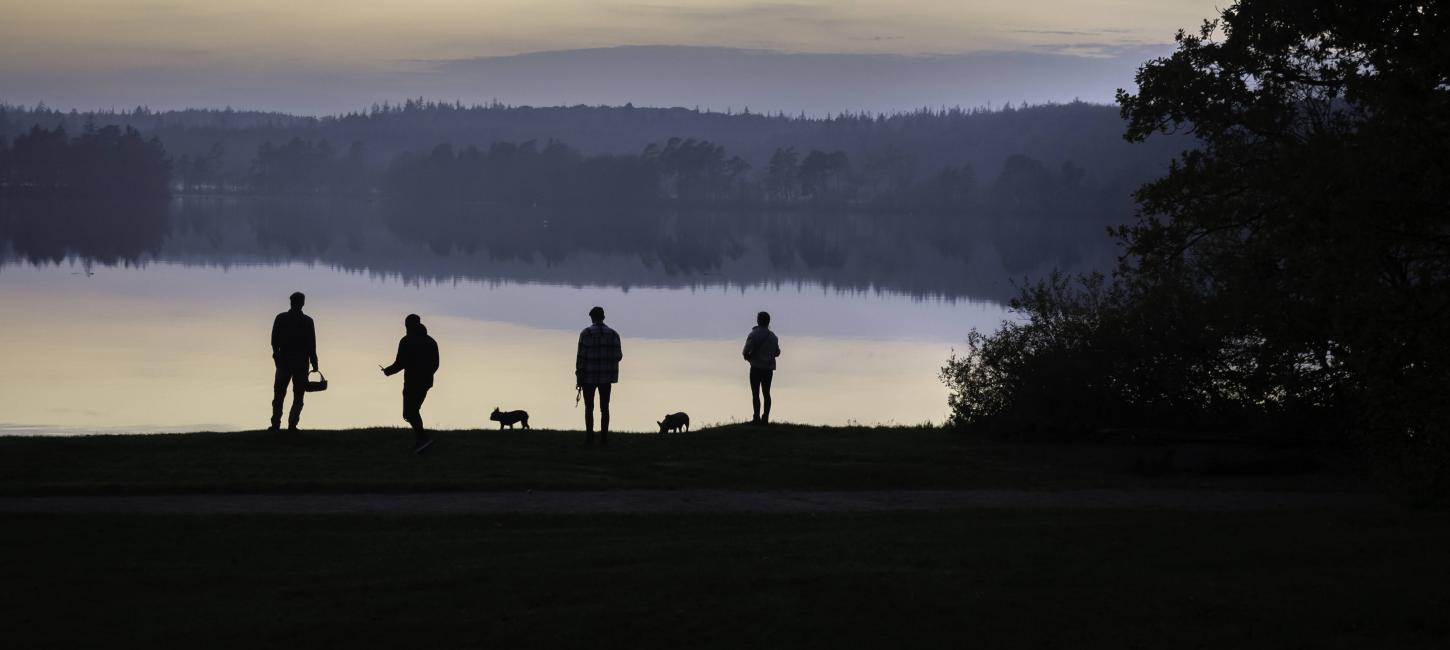 Mennesker med hunde ved Store Økssø